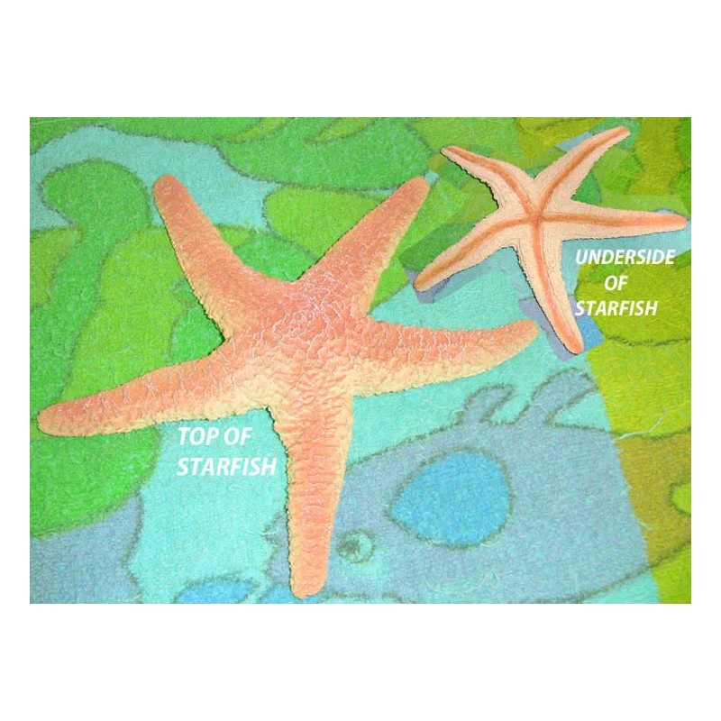Sea Creature Replicas - Rubber/PVC - AAA