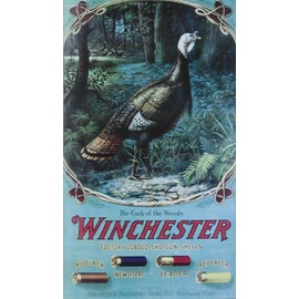 Vintage Winchester Shotgun Ammo Ad Reproduction Print Advertising 17x12