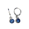Blue Silver earrings