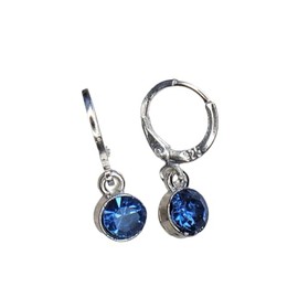 Blue Silver earrings