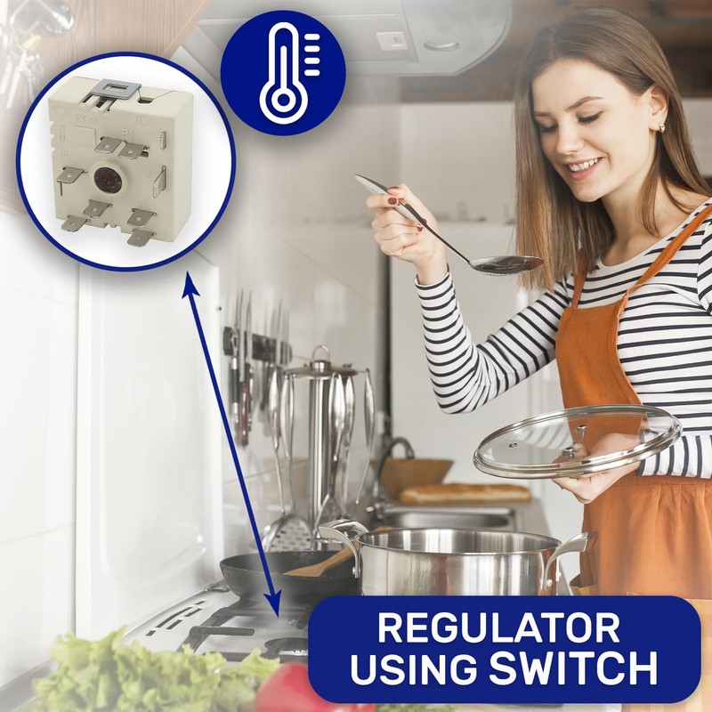 Power Regulator for Burner of Electric Hob with the Original