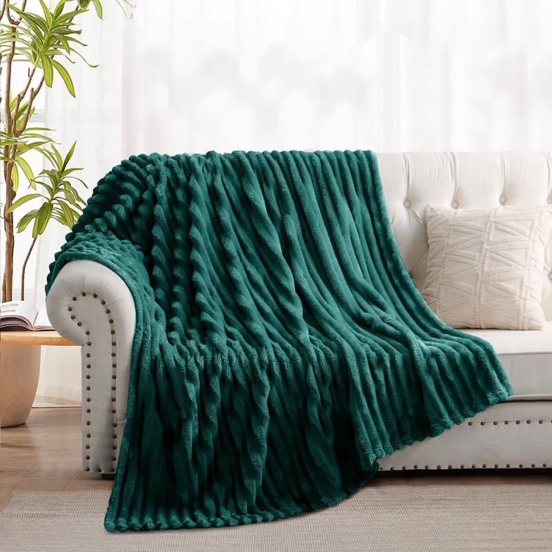 RUIKASI Fleece Throw Blanket for Sofa - Single Fluffy Emerald