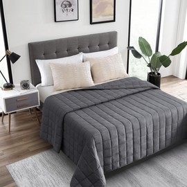HomeSmart 30 lbs Weighted Blanket Queen Size - Medium Pressure Blanket - Premium Ultra Soft- 30lbs