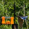 Birds Choice 2 Arm Topper Bird Feeder Pole Set with