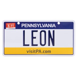 USA State Plate with Name. Aluminium Name Plate, Wall Sign, Plaque, Door Sign, US License Plate, Sign with Suction Cups. (LEON)