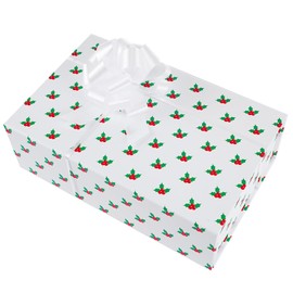 Christmas Gift Box with Magnetic Closure Lid for Present - Medium Gift Boxes for Wrapping Gifts - Gift Wrapping Boxes for Groomsman Proposal Birthday Christmas Wedding Gift Packaging (Mistletoe)