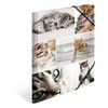 HERMA 19212 Portfolio Folders A4 Animals Cats, Pack of 3,