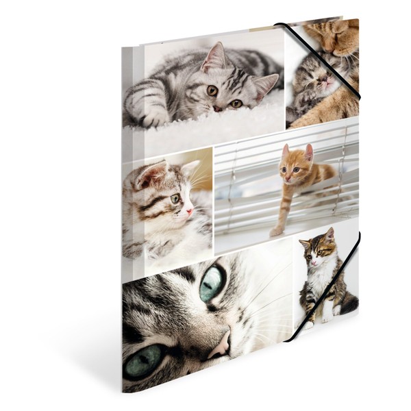 HERMA 19212 Portfolio Folders A4 Animals Cats, Pack of 3,