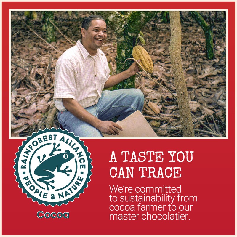 Chocolove Rich Dark Chocolate Bars | 65% Cocoa | Crafted