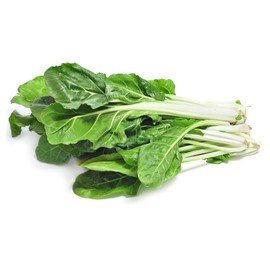 Silver Ice Swiss Chard, 300 Heirloom Seeds Per Packet, (Isla's Garden Seeds), Non GMO Seeds, Botanical Name: Beta vulgaris VAR. cicla