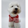 Cute Dog Clothes Striped Dog Polo Shirts Cute Sweater Puppy