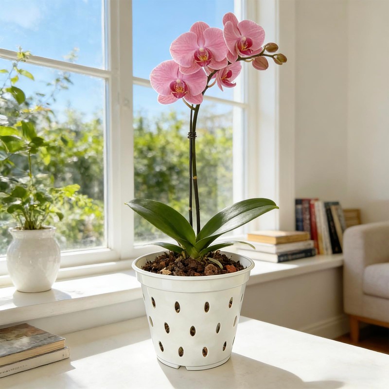 Gyfofix 5 Pack 5.5 Inch Orchid Pots, White Plastic Planters