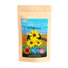 Kansas Wildflower Seed Mix, Covers 325 Sq Ft, 16 Flower