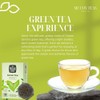 McCoy Teas Green Tea Bags Individually Wrapped Collection with Premium