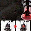 Reptile Ceramic Heat Lamp Holder Load 300W E27 Base Bulb