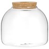 Cork Glass Bottle Container Tabletop Circle Vase Lid Plant Betta
