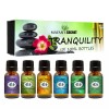 Mayan's Sectret Mayan's Secret Premium Grade Essential Oils-Tranquili