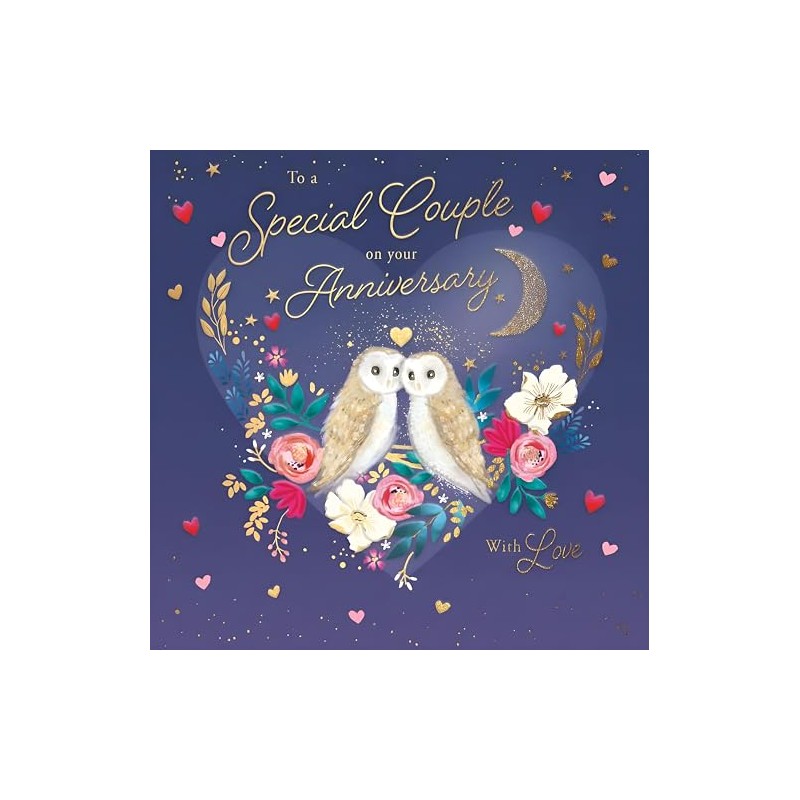 Noel Tatt Special Couple Wedding Anniversary Card | Owl Couple