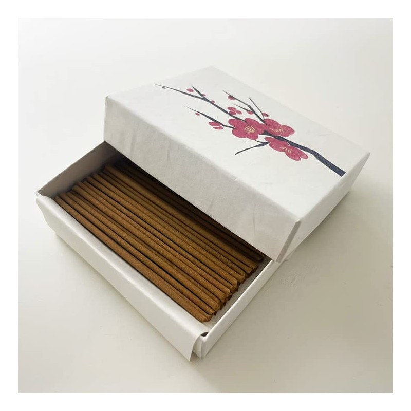 Kosaido HANGA Incense, 10 Types of Incense, Incense, Kyoto Stick,