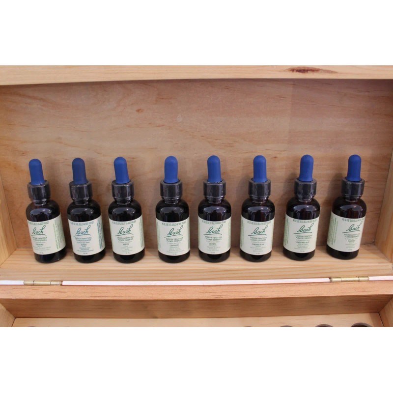 Kit Esencias Florales Bach Tinturas Madre Elegir