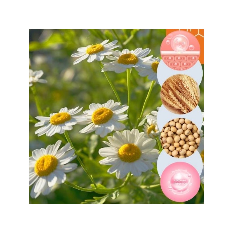 BONA MEDUSA Orange Skin Delete Tone Up Mini 10g