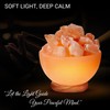 Himalayan Glow Natural Pink Salt Bowl Night Lamp with Crystal