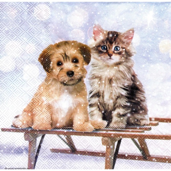 (2) Two Paper Lunch Napkins for Decoupage/Mixe