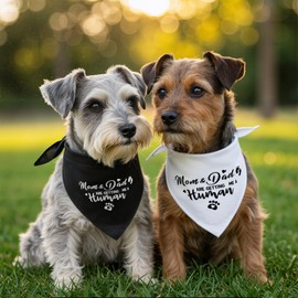 XLIUAX 2 Dog Pregnancy Bandanas, Dog Bandana Pregnancy Announcement Gender Reveal Dogs Baby Scarf Pregnancys Announcement for Mother of Dogs Outfit Black White Scarf for Pets Soft Fabric for Pet Gifts