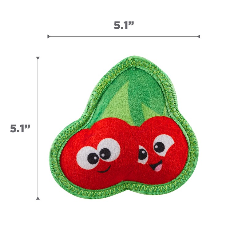 Outward Hound Tough Skinz Durable Squeaky Dog Toy with Two