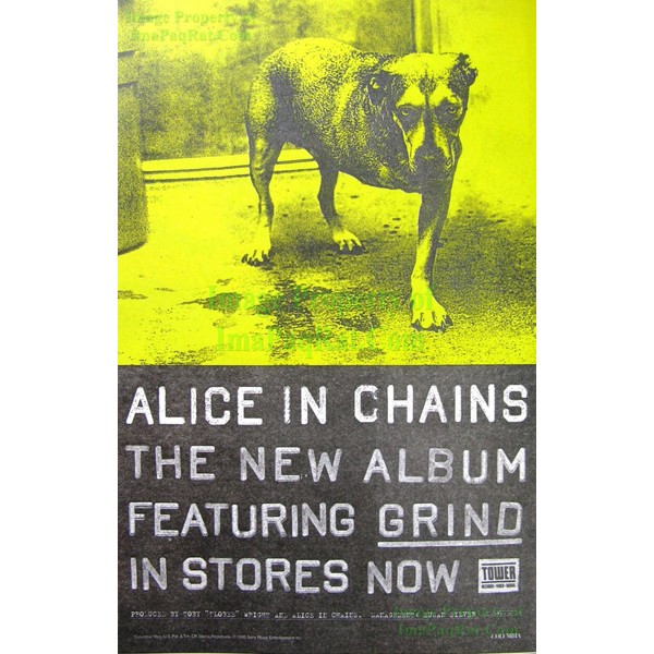 Alice in Chains: TRIPOD - 3 Legged Dog "Sunshine": Great Original Photo Print Ad