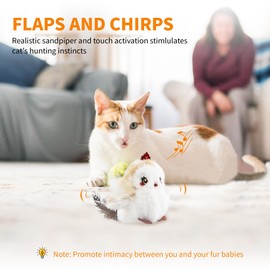 Gigwi Flapping Bird Cat Toys Lifelike Sandpiper Chirp Tweet Interactive Cat Toy, Rechargeable Motion Activated Cat Toys For Bored Indoor Adult Cats, Electronic Automatic Cat Toy With Catnip (Princess)