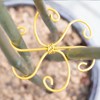 6pcs Plant Stem Support, Monstera Plant Support,Propagated Plant Holders,Plant Stakes