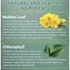 ValleyLux Mullein Drops - Lung Cleanse - Mullein Leaf Extract