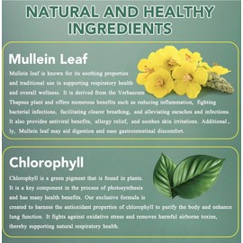 ValleyLux Mullein Drops - Lung Cleanse - Mullein Leaf Extract  Powerful Mullein for Immune
