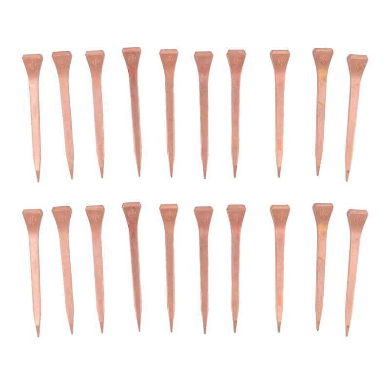 250Pcs Horseshoe Nails Copper Plating Shoeing Nails with Plastic Box