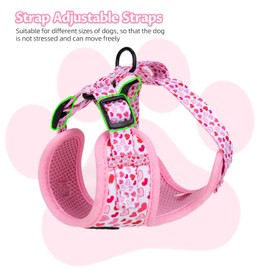 Dog Harness and Leash Set, Adjustable Dog Harness, Dog Leash, No Pull No Choke Puppy Harnesses for Walking Training for Small, Medium, Large Pet (Little Love, S(Chest 14-19.6", Neck 10.6-13"))