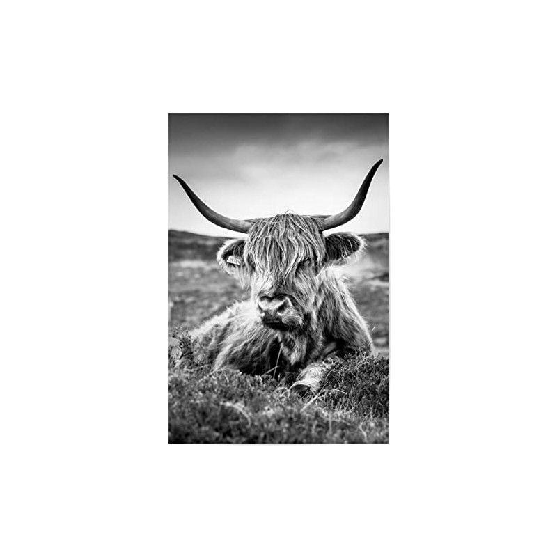 ArtboxONE Bundle Animals