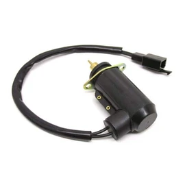 E Choke Cold Starter Automatic Cold Start Plug 8 mm Bolt Suitable for CPI Generic Keeway TGB Bullet Pegasus R50X Piaggio Hexagon SKR Sachs Speedforce Speedjet 2-Stroke China Scooter with Mikuni