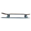[CCS] Logo Cruiser Skateboard Blue Complete 27.00" x 8.00"