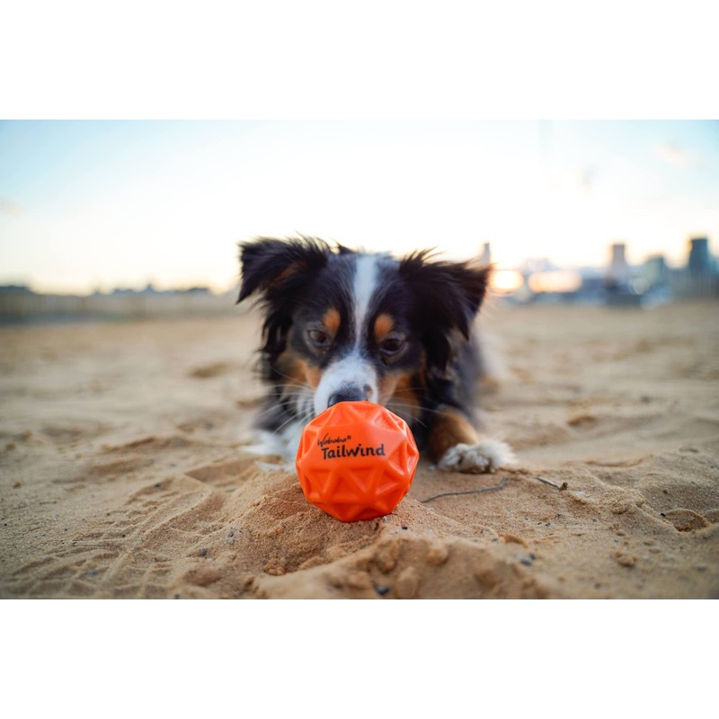 Waboba Tailwind Bouncing Ball