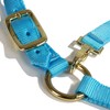 Intrepid International Nylon Miniature Horse Halter, Light Blue, Large