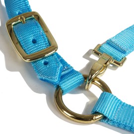 Intrepid International Nylon Miniature Horse Halter, Light Blue, Large