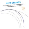 Kisangel 2pcs Strings Pipa Strings Accessories Instruments Pipa Parts Metal