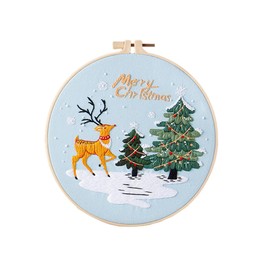 Danolapsi Embroidery Starter Kit with Embroidery Hoops Christmas Pattern Stamped Embroidery Kits Women Hobbies for Beginners CX0841 One Size