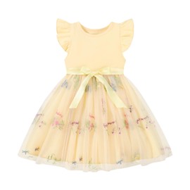 Bkixhv Toddler Girls Baby Tutu Tulle Dress Ruffled Sleeve Embroidered Floral Princess Party Dresses Summer Clothes 2-7Y Apricot