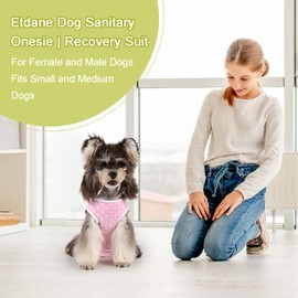 Etdane Dog Period Diapers Small Dog Period Suit Dog Sanitary Panties for Male Female Dogs Diaper Cover for Heat Pink Polka Dots/XL