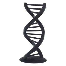 DNA Double Helix, 3D Printed