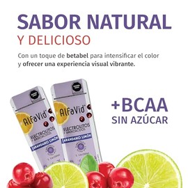 Polvo de Electrolitos y Aminocidos Sin Azcar  Sobres con BCAAs y L-Glutamina  Hidratacin Diaria y Recuperacin Fsica  Frmula con Minerales Esenciales  