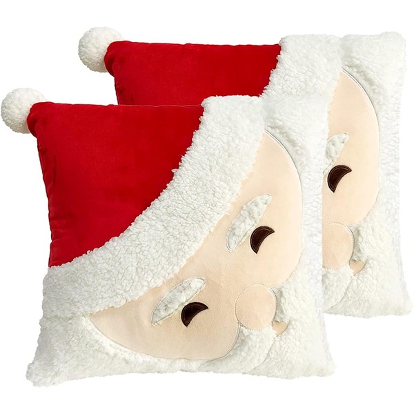 ApisNest 2PCS Christmas Cushion Covers 45cm x 45cm,Square 3D Embroidered