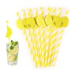 20 PCS Lemon Straws, Disposable Cocktail Straws Lemonade Stand Supplies